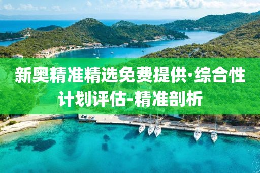 新奧精準精選免費提供·綜合性計劃評估-精準剖析