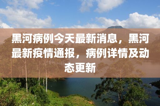 黑河病例今天最新消息，黑河最新疫情通報(bào)，病例詳情及動(dòng)態(tài)更新