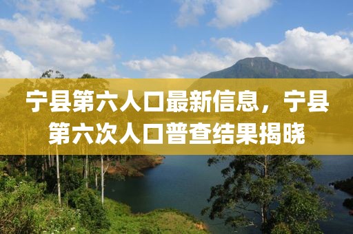 寧縣第六人口最新信息，寧縣第六次人口普查結(jié)果揭曉