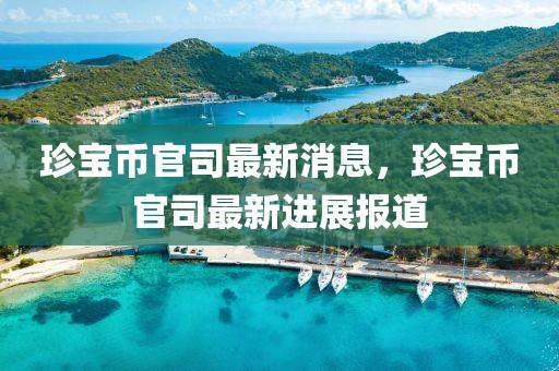 珍寶幣官司最新消息，珍寶幣官司最新進展報道