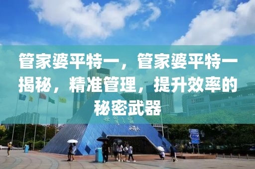 管家婆平特一，管家婆平特一揭秘，精準管理，提升效率的秘密武器