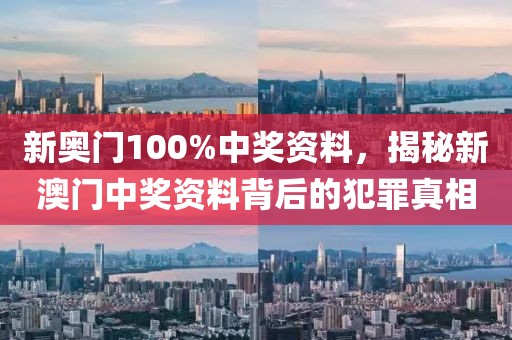 新奧門100%中獎資料，揭秘新澳門中獎資料背后的犯罪真相