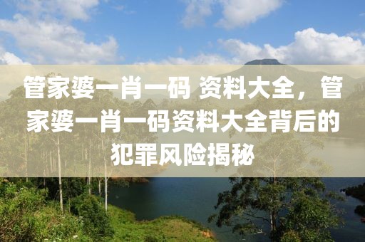 管家婆一肖一碼 資料大全，管家婆一肖一碼資料大全背后的犯罪風(fēng)險(xiǎn)揭秘