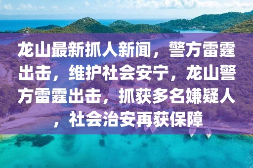 龍山最新抓人新聞，警方雷霆出擊，維護社會安寧，龍山警方雷霆出擊，抓獲多名嫌疑人，社會治安再獲保障