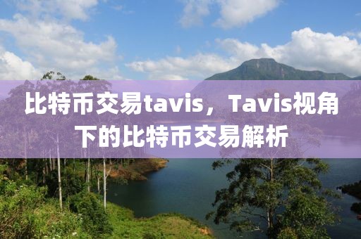 比特幣交易tavis，Tavis視角下的比特幣交易解析