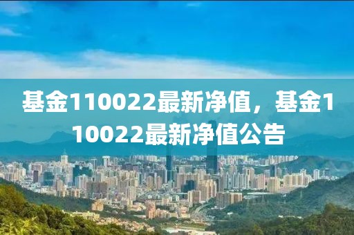 基金110022最新凈值，基金110022最新凈值公告