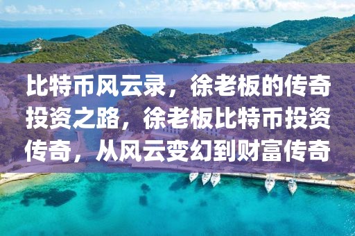 比特幣風(fēng)云錄，徐老板的傳奇投資之路，徐老板比特幣投資傳奇，從風(fēng)云變幻到財富傳奇