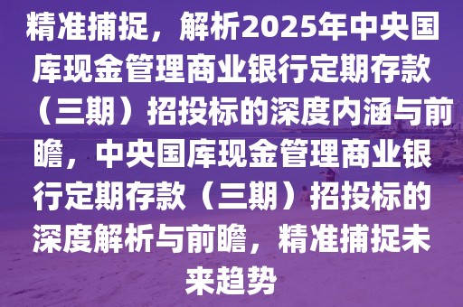 精準(zhǔn)捕捉，解析2025年中央國庫現(xiàn)金管理商業(yè)銀行定期存款（三期）招投標(biāo)的深度內(nèi)涵與前瞻，中央國庫現(xiàn)金管理商業(yè)銀行定期存款（三期）招投標(biāo)的深度解析與前瞻，精準(zhǔn)捕捉未來趨勢