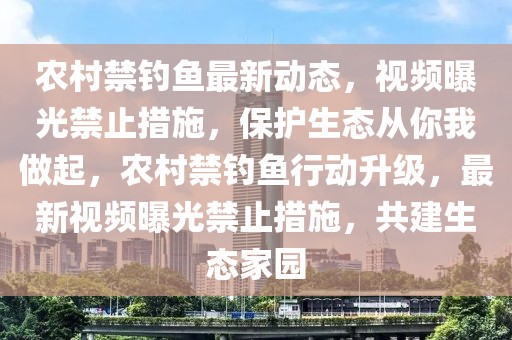 農(nóng)村禁釣魚最新動態(tài)，視頻曝光禁止措施，保護生態(tài)從你我做起，農(nóng)村禁釣魚行動升級，最新視頻曝光禁止措施，共建生態(tài)家園