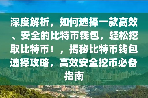 深度解析，如何選擇一款高效、安全的比特幣錢包，輕松挖取比特幣！，揭秘比特幣錢包選擇攻略，高效安全挖幣必備指南