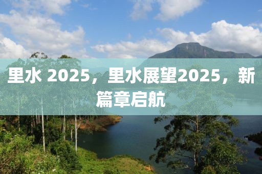 里水 2025，里水展望2025，新篇章啟航