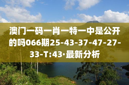 澳門一碼一肖一特一中是公開的嗎066期25-43-37-47-27-33-T:43·最新分析