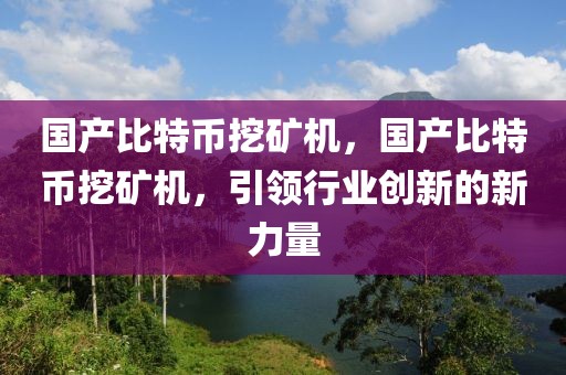 國產(chǎn)比特幣挖礦機，國產(chǎn)比特幣挖礦機，引領行業(yè)創(chuàng)新的新力量