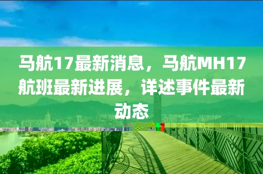 馬航17最新消息，馬航MH17航班最新進(jìn)展，詳述事件最新動(dòng)態(tài)