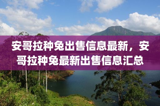 安哥拉種兔出售信息最新，安哥拉種兔最新出售信息匯總