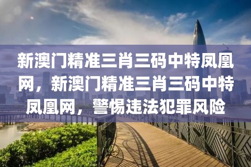 新澳門精準三肖三碼中特鳳凰網(wǎng)，新澳門精準三肖三碼中特鳳凰網(wǎng)，警惕違法犯罪風(fēng)險