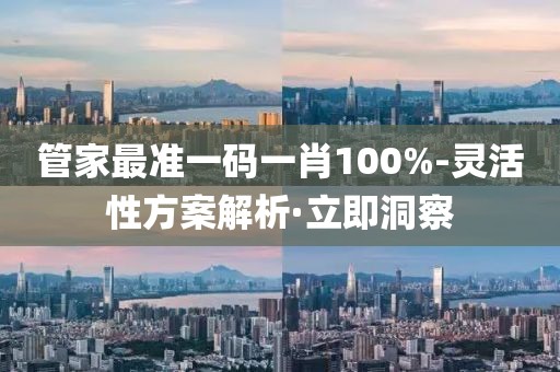 管家最準(zhǔn)一碼一肖100%-靈活性方案解析·立即洞察