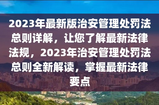 2023年最新版治安管理處罰法總則詳解，讓您了解最新法律法規(guī)，2023年治安管理處罰法總則全新解讀，掌握最新法律要點