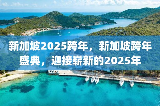 新加坡2025跨年，新加坡跨年盛典，迎接嶄新的2025年