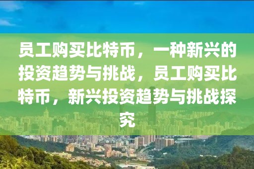 員工購買比特幣，一種新興的投資趨勢與挑戰(zhàn)，員工購買比特幣，新興投資趨勢與挑戰(zhàn)探究