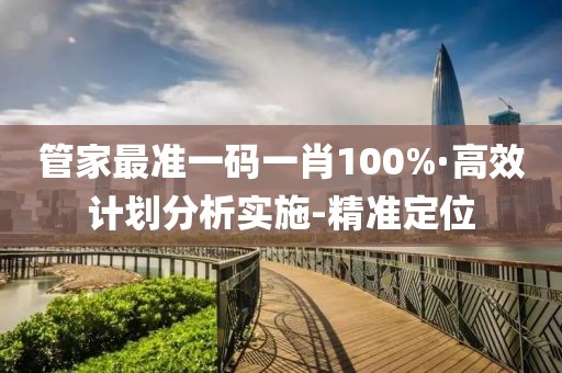 管家最準一碼一肖100%·高效計劃分析實施-精準定位