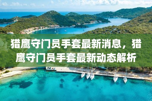 獵鷹守門員手套最新消息，獵鷹守門員手套最新動(dòng)態(tài)解析