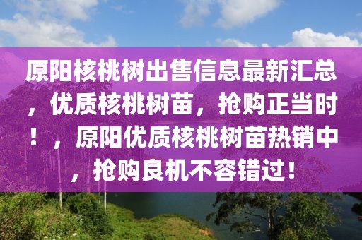 原陽核桃樹出售信息最新匯總，優(yōu)質(zhì)核桃樹苗，搶購正當(dāng)時(shí)！，原陽優(yōu)質(zhì)核桃樹苗熱銷中，搶購良機(jī)不容錯(cuò)過！