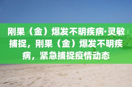 剛果（金）爆發(fā)不明疾病·靈敏捕捉，剛果（金）爆發(fā)不明疾病，緊急捕捉疫情動(dòng)態(tài)