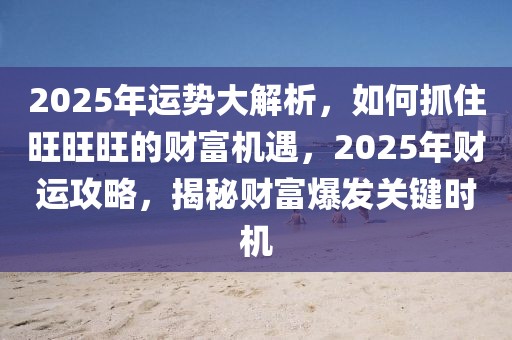 2025年運(yùn)勢大解析，如何抓住旺旺旺的財富機(jī)遇，2025年財運(yùn)攻略，揭秘財富爆發(fā)關(guān)鍵時機(jī)