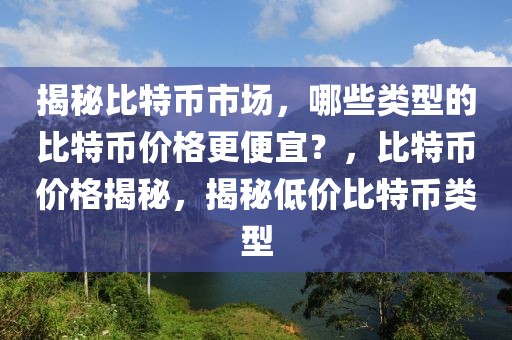 揭秘比特幣市場，哪些類型的比特幣價格更便宜？，比特幣價格揭秘，揭秘低價比特幣類型