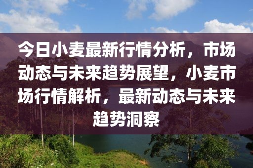 今日小麥最新行情分析，市場動態(tài)與未來趨勢展望，小麥?zhǔn)袌鲂星榻馕?，最新動態(tài)與未來趨勢洞察