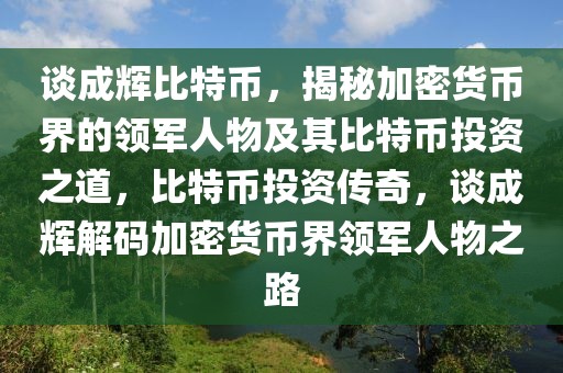 談成輝比特幣，揭秘加密貨幣界的領(lǐng)軍人物及其比特幣投資之道，比特幣投資傳奇，談成輝解碼加密貨幣界領(lǐng)軍人物之路