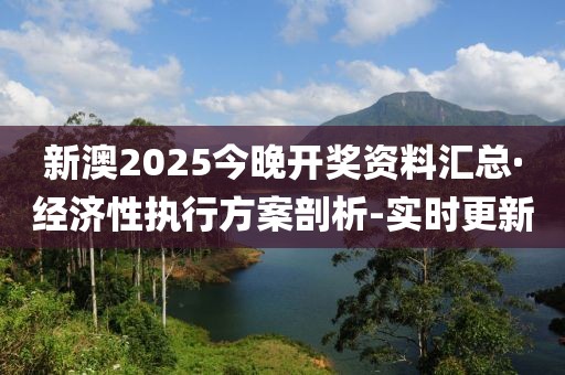 2025年2月19日 第35頁