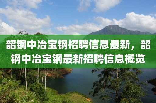 韶鋼中冶寶鋼招聘信息最新，韶鋼中冶寶鋼最新招聘信息概覽