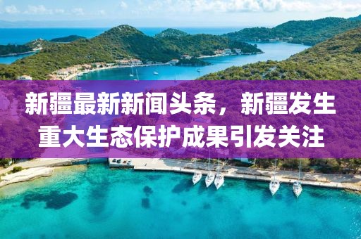 新疆最新新聞?lì)^條，新疆發(fā)生重大生態(tài)保護(hù)成果引發(fā)關(guān)注