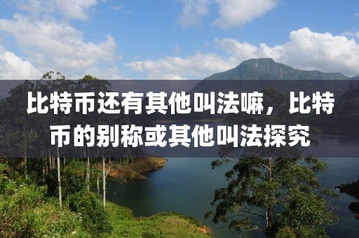 比特幣還有其他叫法嘛，比特幣的別稱或其他叫法探究