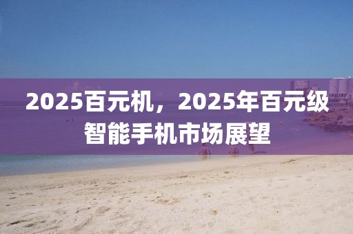 2025百元機，2025年百元級智能手機市場展望