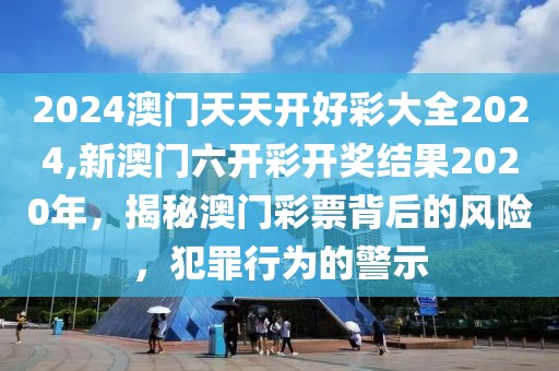 2024澳門天天開好彩大全2024,新澳門六開彩開獎結(jié)果2020年，揭秘澳門彩票背后的風(fēng)險，犯罪行為的警示