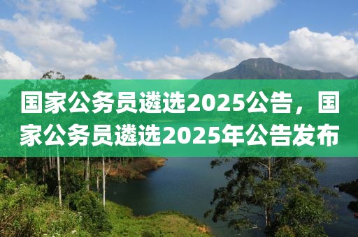 國家公務員遴選2025公告，國家公務員遴選2025年公告發(fā)布