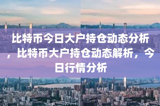 比特幣今日大戶持倉動態(tài)分析，比特幣大戶持倉動態(tài)解析，今日行情分析