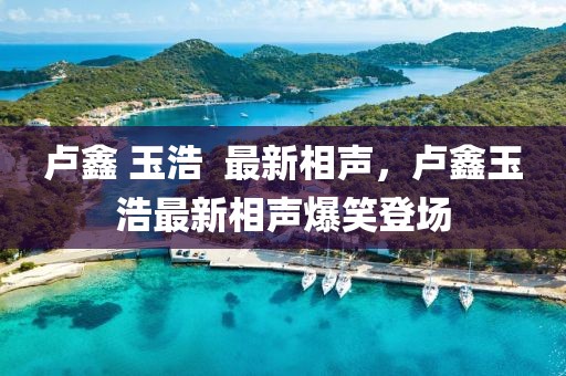 盧鑫 玉浩  最新相聲，盧鑫玉浩最新相聲爆笑登場(chǎng)