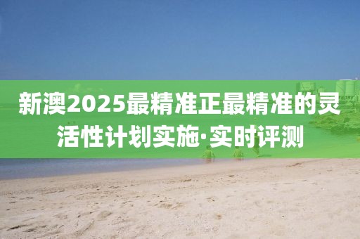 新澳2025最精準(zhǔn)正最精準(zhǔn)的靈活性計劃實施·實時評測