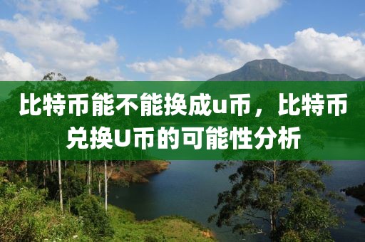 比特幣能不能換成u幣，比特幣兌換U幣的可能性分析