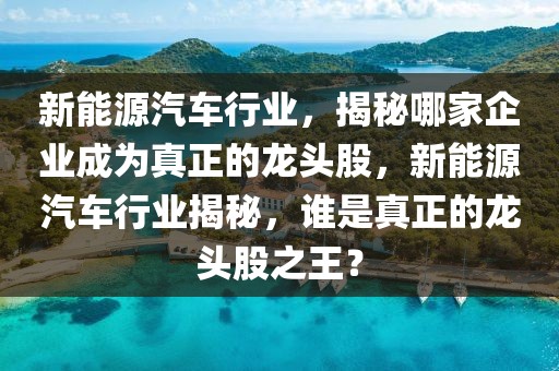 新能源汽車行業(yè)，揭秘哪家企業(yè)成為真正的龍頭股，新能源汽車行業(yè)揭秘，誰是真正的龍頭股之王？