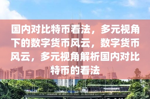 國內(nèi)對比特幣看法，多元視角下的數(shù)字貨幣風(fēng)云，數(shù)字貨幣風(fēng)云，多元視角解析國內(nèi)對比特幣的看法