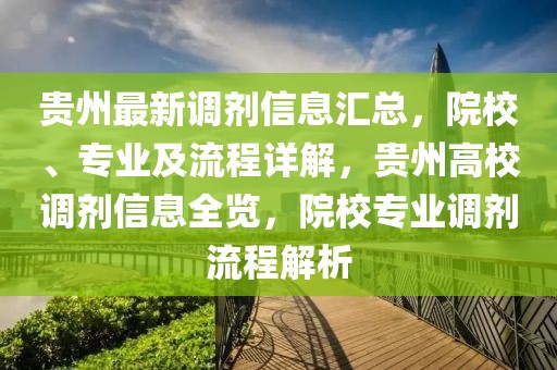 貴州最新調(diào)劑信息匯總，院校、專業(yè)及流程詳解，貴州高校調(diào)劑信息全覽，院校專業(yè)調(diào)劑流程解析