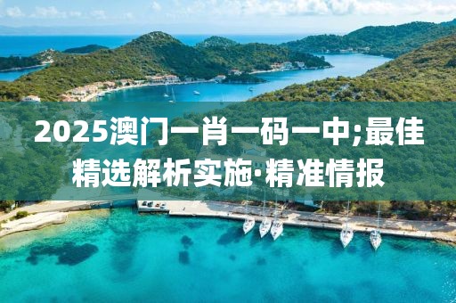 2025澳門一肖一碼一中;最佳精選解析實施·精準情報