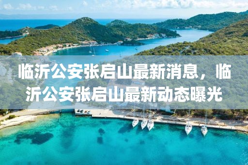 臨沂公安張啟山最新消息，臨沂公安張啟山最新動態(tài)曝光