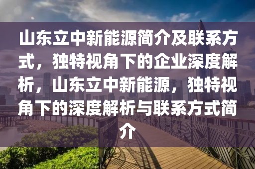 山東立中新能源簡介及聯(lián)系方式，獨特視角下的企業(yè)深度解析，山東立中新能源，獨特視角下的深度解析與聯(lián)系方式簡介