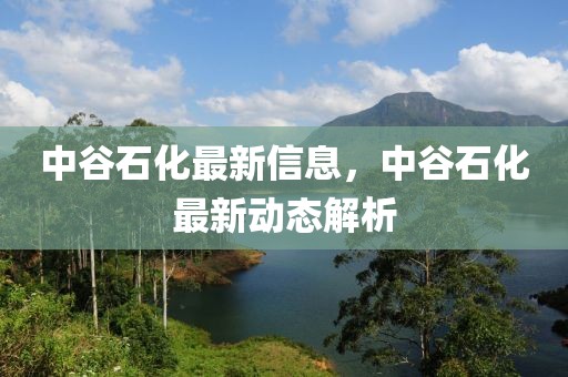 中谷石化最新信息，中谷石化最新動態(tài)解析